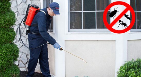 Kaş Tahtakurusu İlaçlama böcek ilaçlama ve haşere kontrolü — ilaclama-tr.com